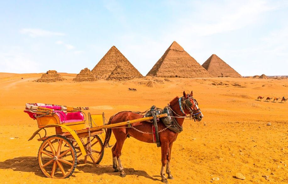 Camel &amp; Horseback Rides, Giza, Egypt